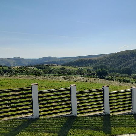 Vila Aloman Sebes  Luaran gambar
