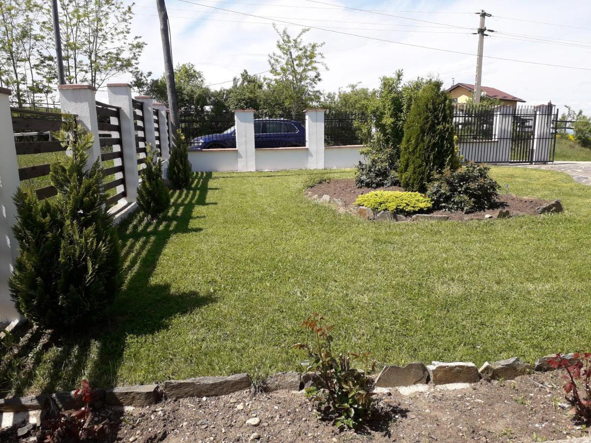 Vila Aloman Sebes  Luaran gambar