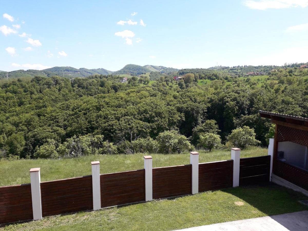 Vila Aloman Sebes  Luaran gambar