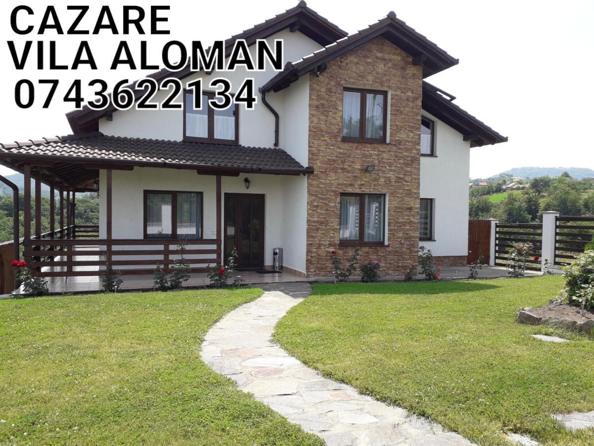 Vila Aloman Sebes  Luaran gambar